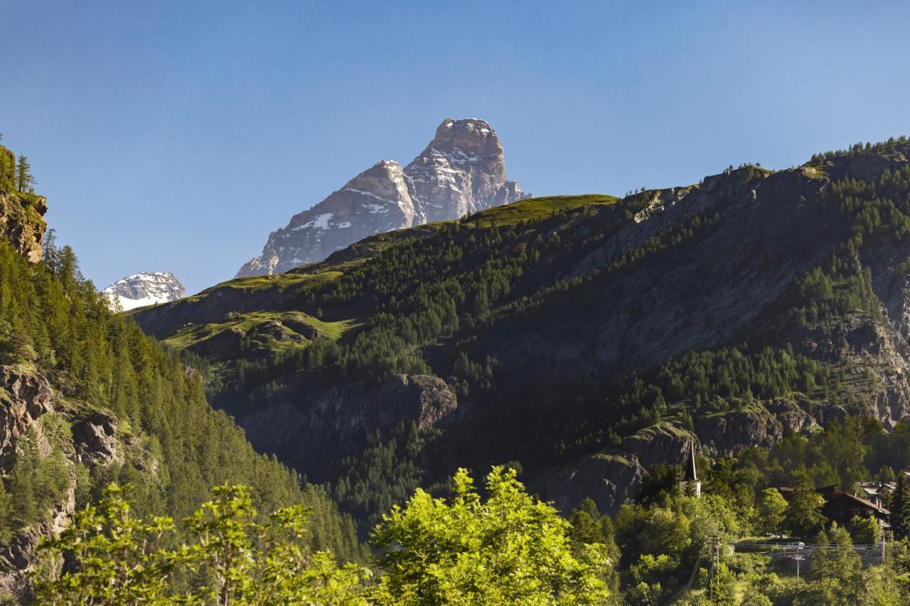 Hellochalet - Maison Rue De La Neige - Family Ski Holiday Walking Distance Skirun And Gondola 瓦托内切 外观 照片